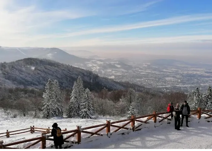 Basia 2 דירה אוסטראון